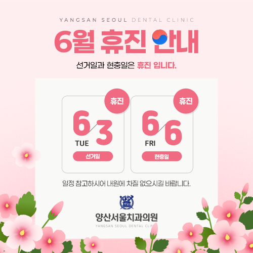 진료일정